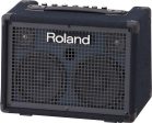 Roland KC-220 Battery Powered Stereo Keyboard Amplifier (KC220) For Cheap