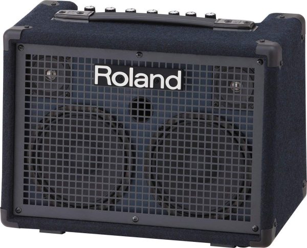 Roland KC-220 Battery Powered Stereo Keyboard Amplifier (KC220) For Cheap