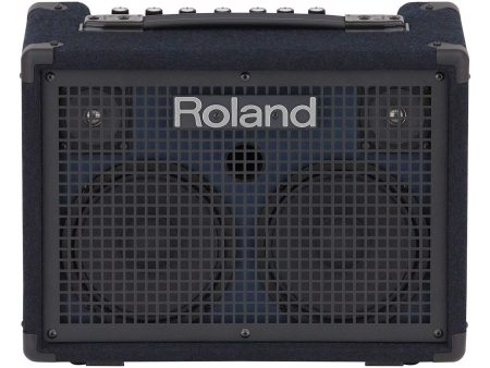 Roland KC-220 Battery Powered Stereo Keyboard Amplifier (KC220) For Cheap