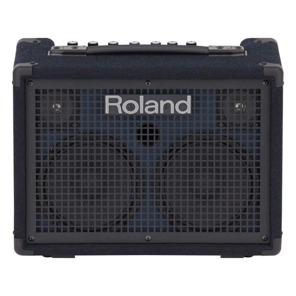 Roland KC-220 Battery Powered Stereo Keyboard Amplifier (KC220) For Cheap